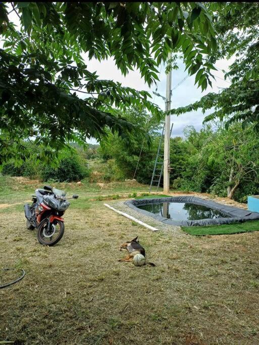 Sattva Farmstay Бангалор Екстериор снимка