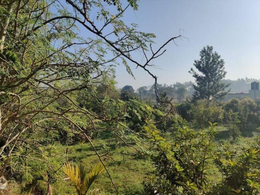 Sattva Farmstay Бангалор Екстериор снимка